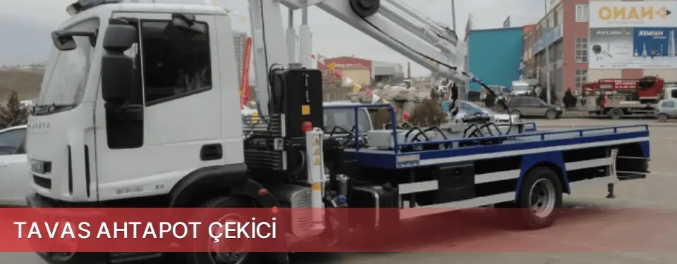 Tavas İlçemi Ahtapot Çekici